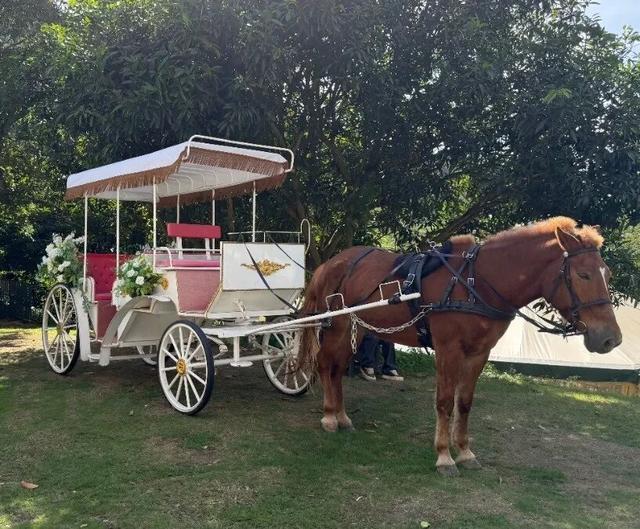 肇庆咖啡嘉年华来了！承包你整个月的快乐