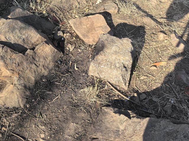 南京第二次到镇江武岐山空青山郊野徒步