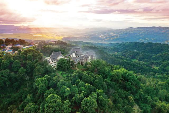 来一次古茶山之旅,去读懂贺开十五年的光阴故事