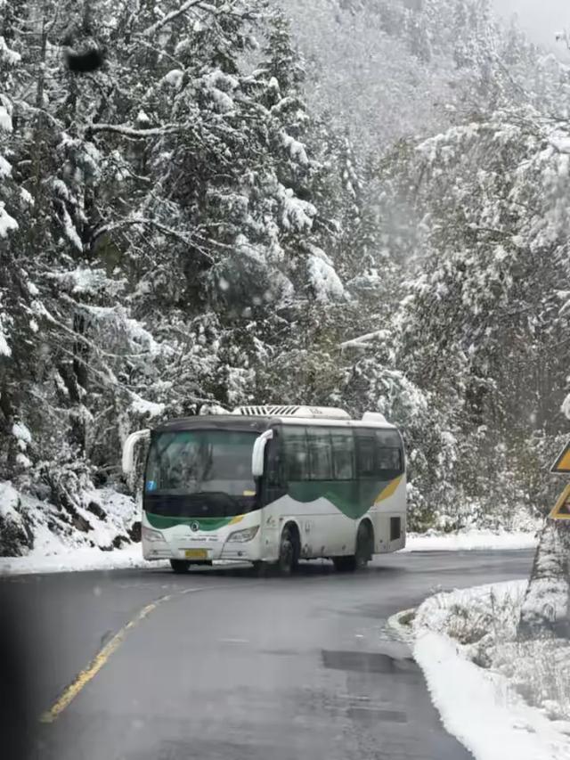 秋假追雪毕棚沟,没想到被安德服务区圈粉了!