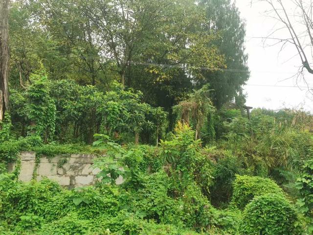 遵义新蒲：沙滩有宅名“钦使第”