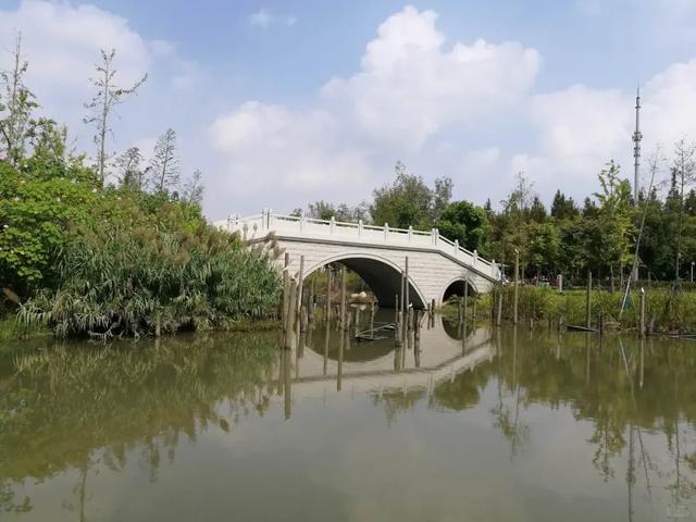 都市绿洲,童话秘境:上海浦江郊野公园完全探索指南