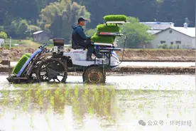 一场危机，日本吞下苦果图片