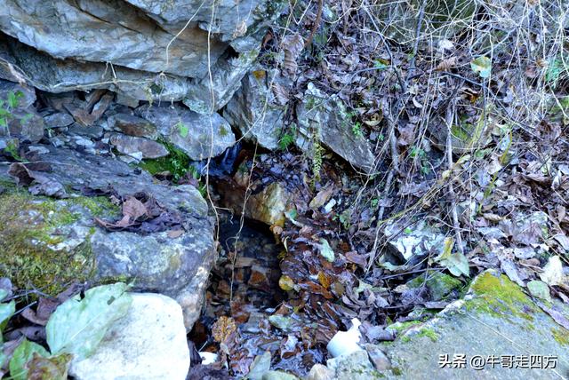 辽阳核伙沟（上）：百里锦绣廊、东北小黄山