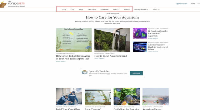 如何在SEO中建立主题权威性：抵御人工智能搜索的护城河