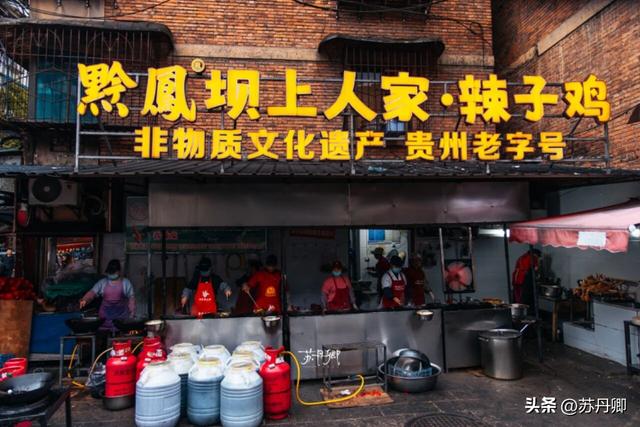 为了一只猴子！我从武汉跑去了贵阳！黔灵山的魅力不止是有猴子