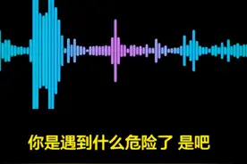 女子深夜报警称“停电了”，民警秒懂！图片
