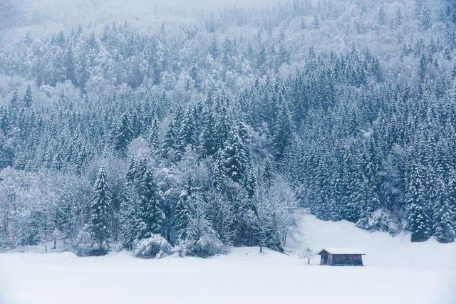 “最怕大雪是晴天”，明日大雪，大雪晴有啥预兆？