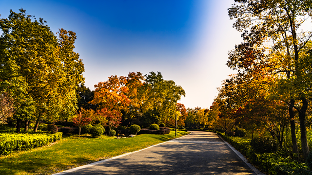 图说遂平：锦绣斑斓醉秋光