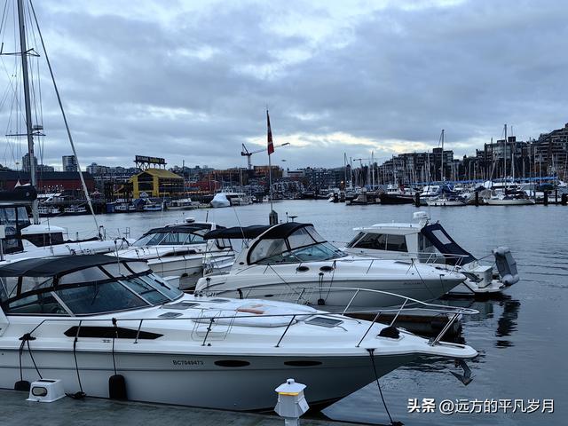 温哥华游记（六）