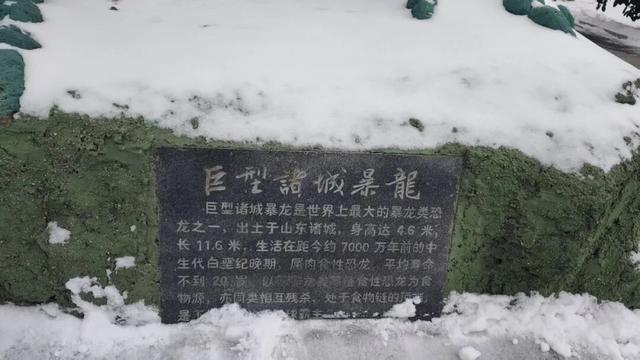 揭秘！诸城服务区为何能成为旅途中的“神秘打卡地”？
