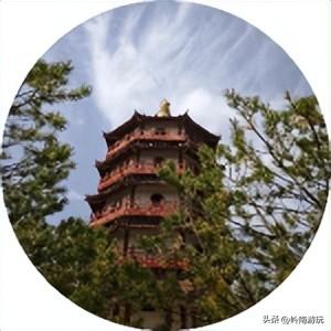 莫错过！西安周边10个公园的梅花暗香浮动，等着你去打卡观赏！