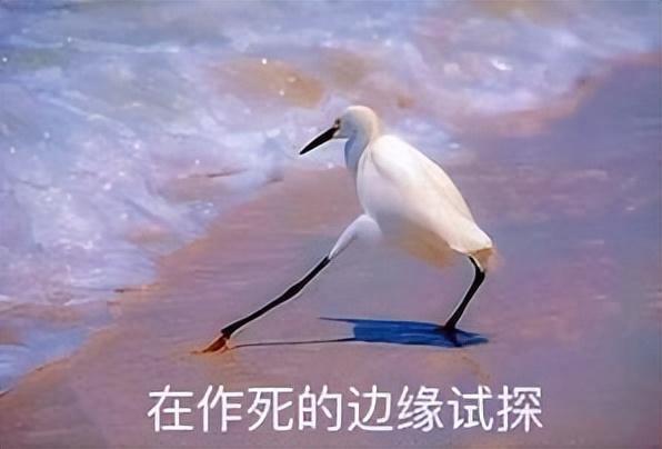 实锤？马斯克的14个娃，是基因筛选过的“超级婴儿”？