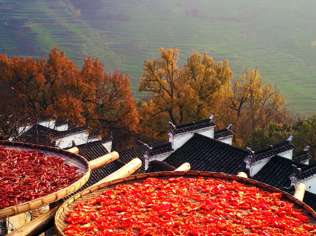 红叶配晒秋，解锁中国赏枫天花板