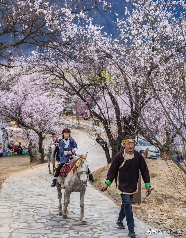 下月即将开爆！这才是 “中国最美春天”，一年仅20天可遇！