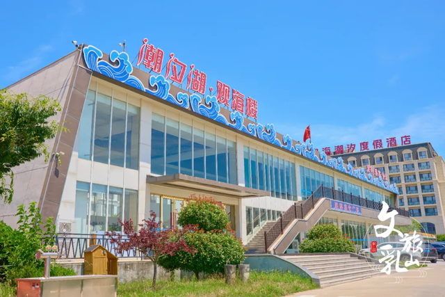 「冬游乳山」48小时蚝味之旅：沉浸式解锁乳山滨海的鲜与趣