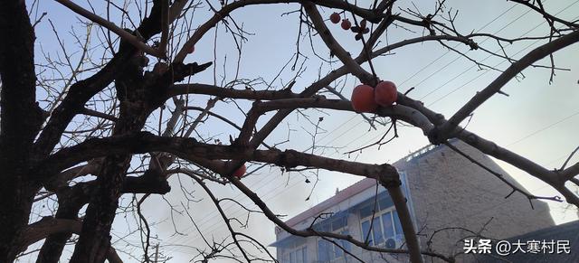 趁着火焰的放肆与热情