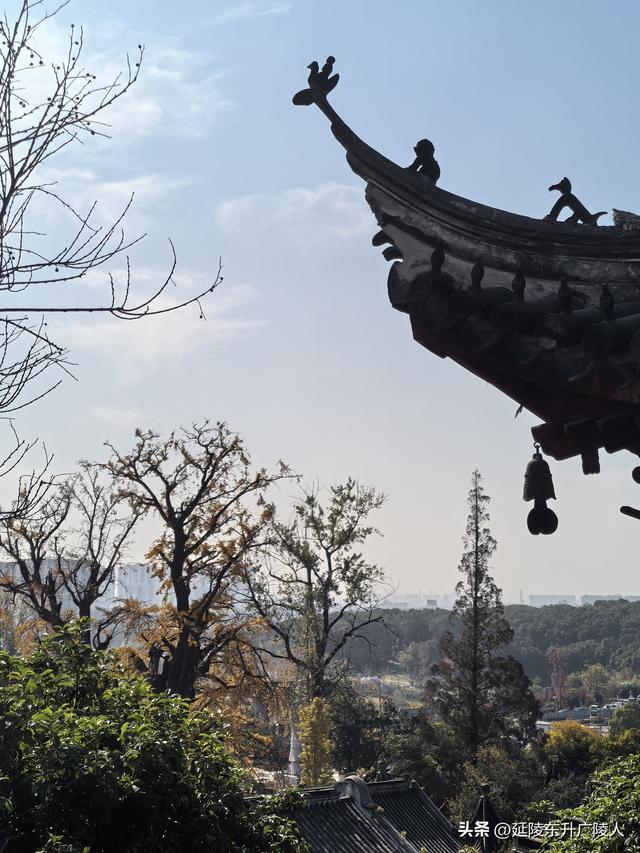 常州城东横山桥白龙观 冬日菊花节 采菊东篱下，悠然见横山
