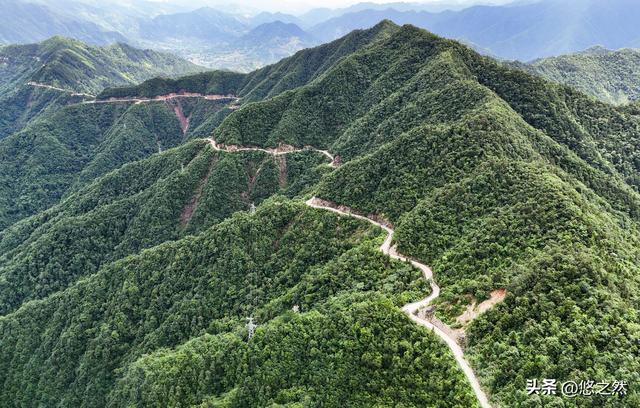 沉浸式体验皖南山水人文，上海自驾新安江、徽州天路三天两晚攻略
