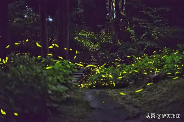 畅游邛崃文旅精华片区，成都农商银行送福利！门票、住宿、餐饮享满减优惠！！