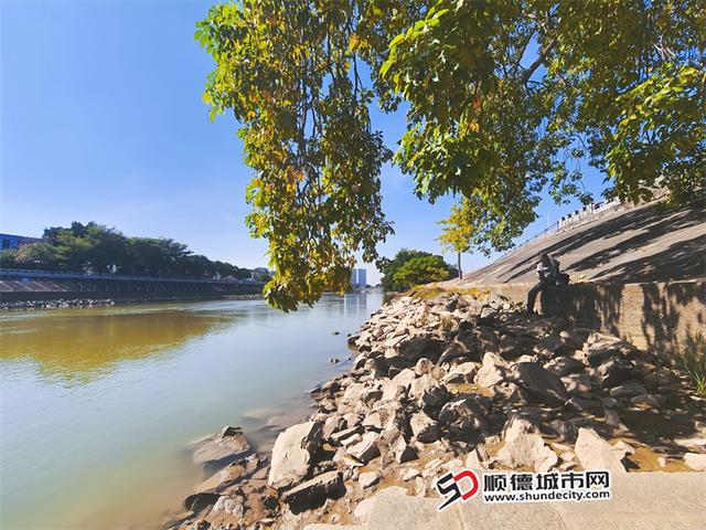 百千万巡礼｜增设油菜花海、亲水碧道……勒北将大变样