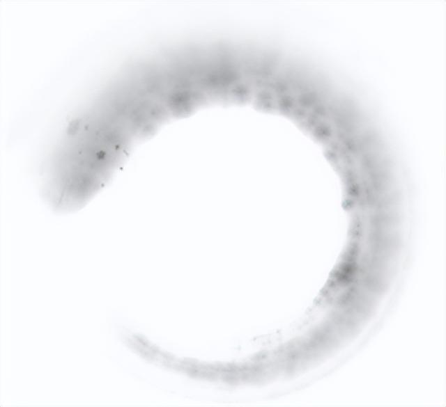 旅居隆阳·寻旅篇丨解锁千年古道的烟火与惊喜