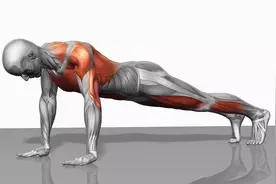 长期坚持俯卧撑，除了瘦下来，还会收获什么好处？图片