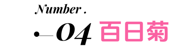 秋日第一波花海！上线！