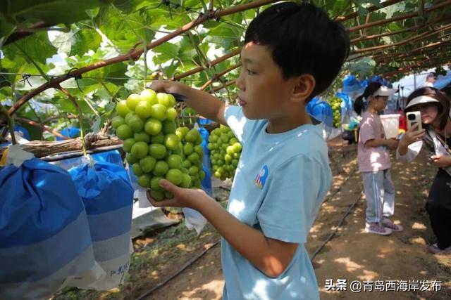小众玩法上线，“反向游”西海岸！