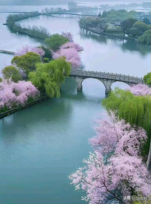 沉醉在这方春景里，原来古人的诗意不是骗人的
