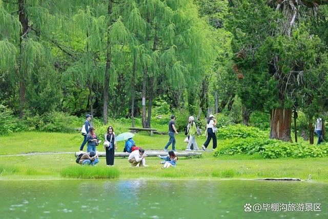 执清凉为笔！泰国百商团走进毕棚沟，共绘山水长卷！