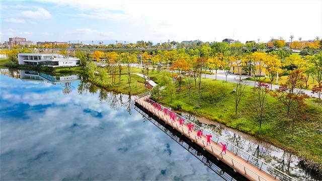 冬日限定浪漫！垫江三合湖层林尽染，治愈感拉满~