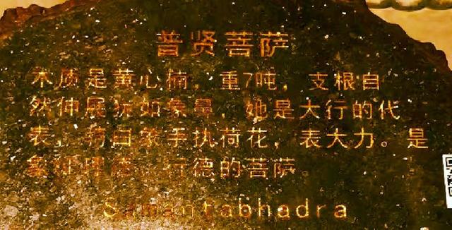 参观根宫佛国博物馆