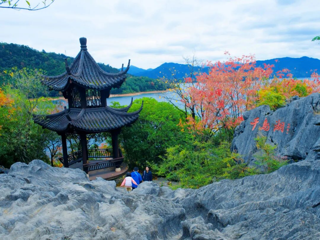 杭州秋冬的“多巴胺”美景来啦～