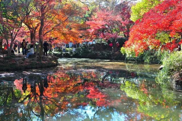 图游天下|去哪儿玩？高清组图，晒出打卡好地