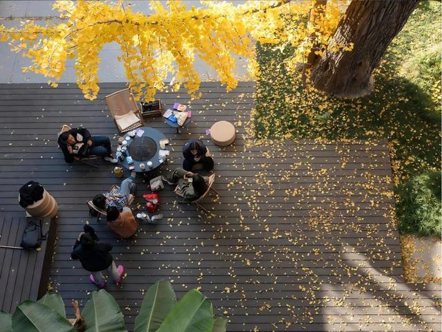 古树新枝映梨园 扬州苏唱街1号重焕生机