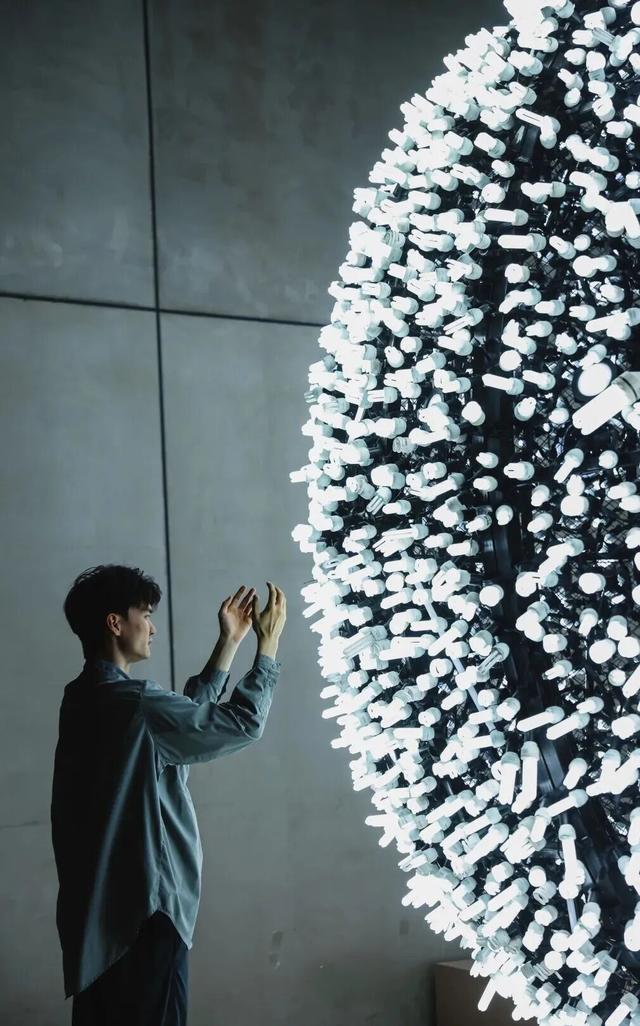 莲花山公园又上新了，现在就冲！