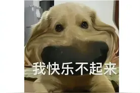 黑神话悟空DLC有望？官方新视频疯狂暗示，网友：有续作？图片