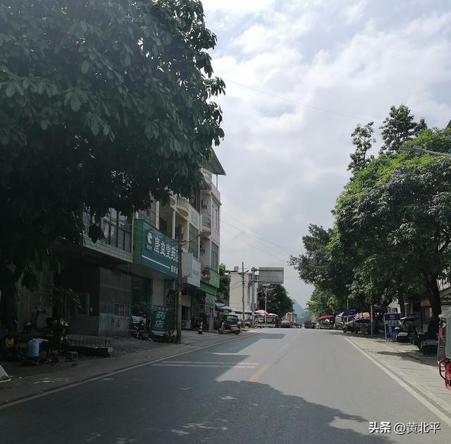 广西崇左市大新县边境线上的小圩，千年枯树能否成为热门打卡地