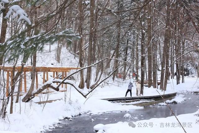 告别金秋，邂逅龙湾初冬！赏雪、观雾凇攻略，这两处景区别错过~