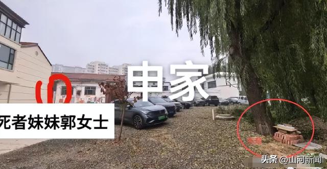 狗主人被反杀案开庭，9人闯门打砸，妻子后悔冲动，更多细节披露