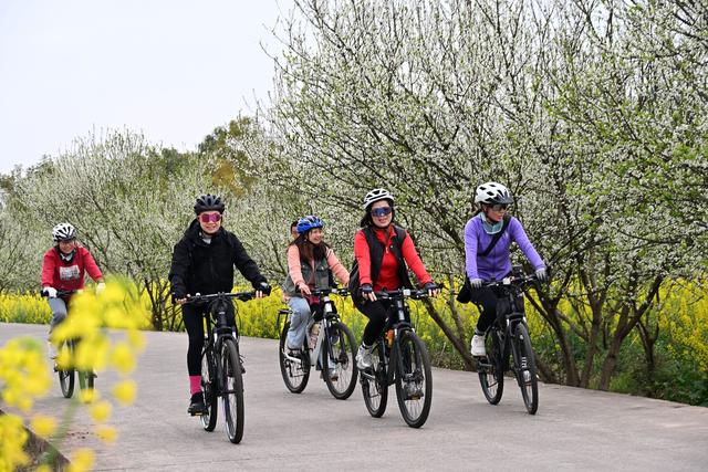 四川内江：初春田园赴花约