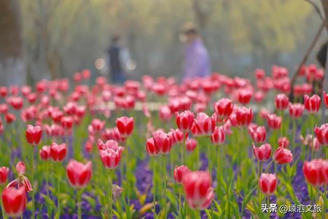 接下来的嵊泗是这样的……