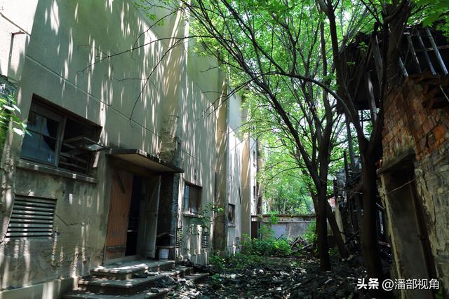 重走湖州练市镇，感受亦新亦旧的古镇