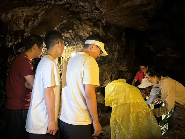 七月迎客76.32万人次！峨眉山“六度空间”把清凉经济玩出新高度