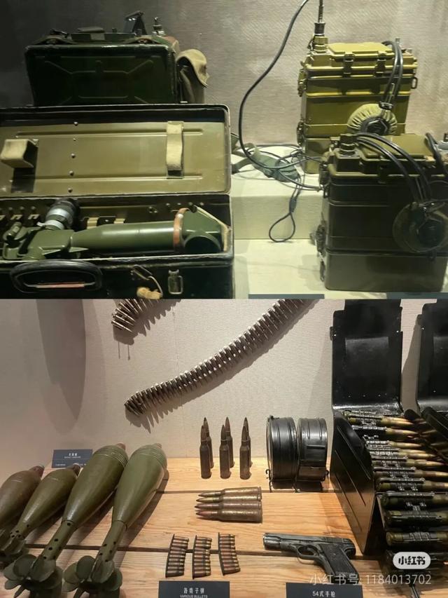 美疯了！高铁直达“四川小三亚”，花海开爆！草莓按盆吃，烧烤香迷糊！