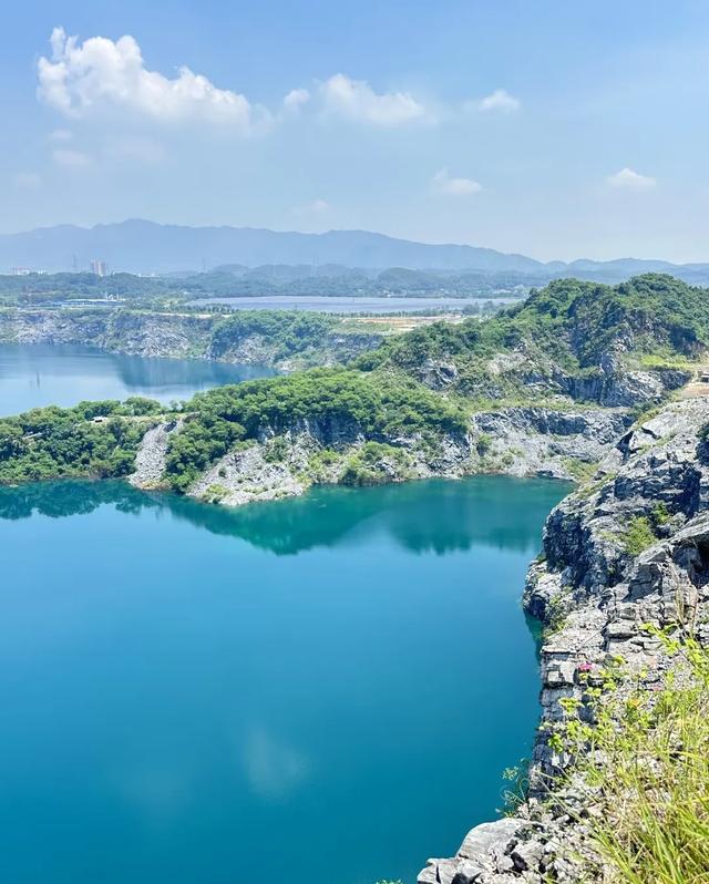 广州出发1天游，广东版的绝美“蓝眼泪”+北江千亩芦苇花盛开