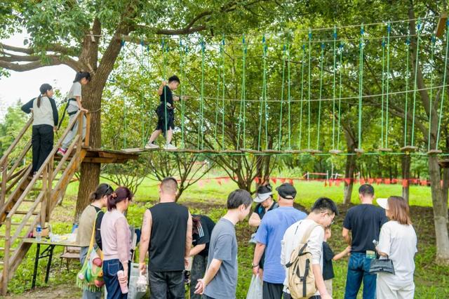 特色盛宴点亮黄金周！盐都“热力值”拉满！