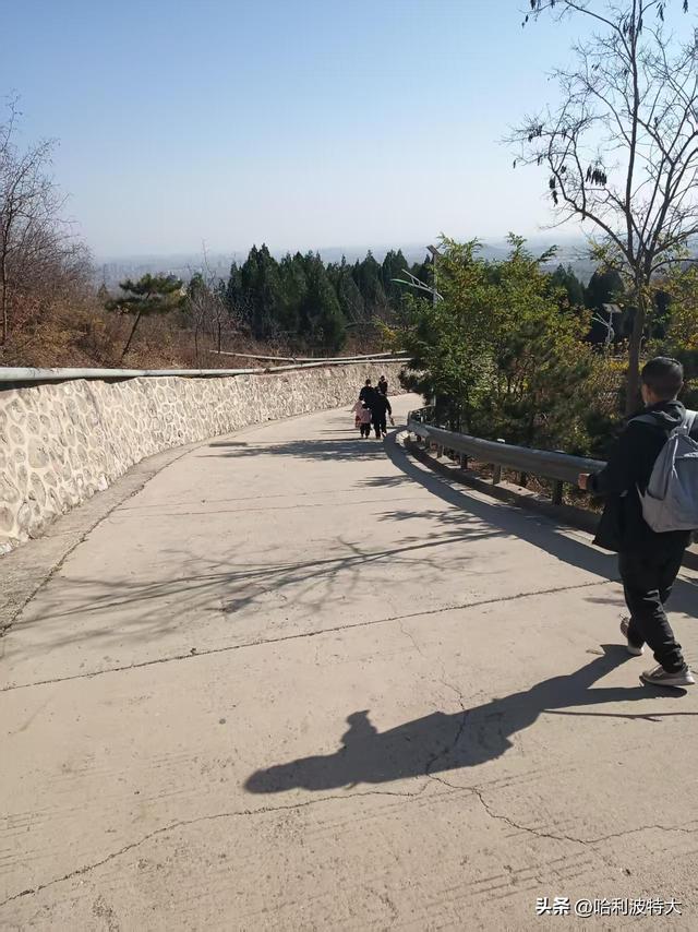 怒征西山公园，立在539.8米的顶峰