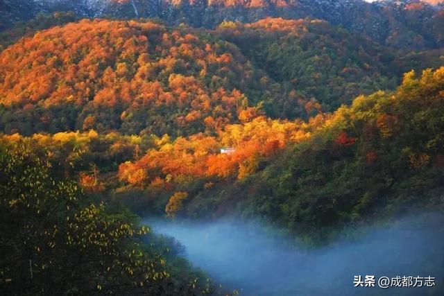 免门票！限定绝美秋色，错过等一年→